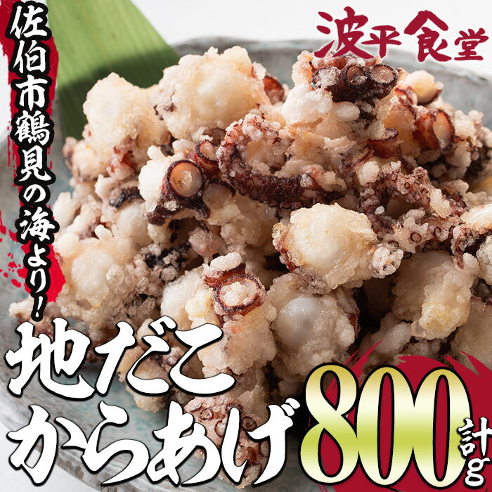 豊後佐伯 地だこからあげ (計800g・200g×4P) たこ 蛸 地だこ からあげ 唐揚げ から揚げ 小分け カラアゲ 加工品 シーフード 冷凍 惣菜 おつまみ 大分県 佐伯市 [FZ001][波平食堂]