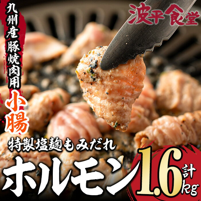 【ふるさと納税】特製 塩麹もみだれ 九州産豚ホルモン 小腸 計1.6kg・320g 5P 国産 大分県産 豚 ホルモン 小分け 冷凍 味付け おつまみ 大分県 佐伯市 【FZ003】【波平食堂】