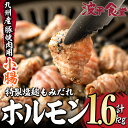 【ふるさと納税】特製 塩麹もみだれ 九州産豚ホルモン 小腸 (計1.6kg・320g×5P) 国産 大分県産 豚 ホルモン 小分け 冷凍 味付け おつまみ 大分県 佐伯市 【FZ003】【波平食堂】