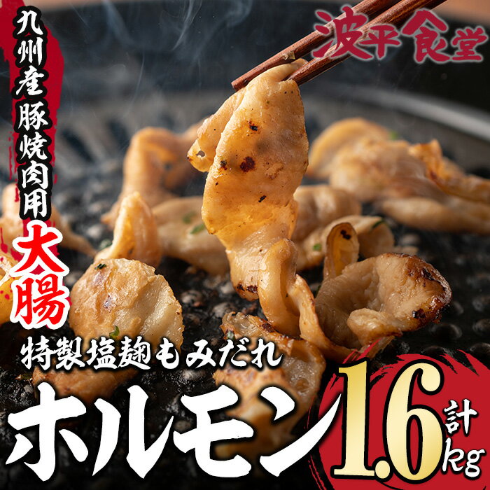 【ふるさと納税】特製 塩麹もみだれ 九州産豚ホルモン 大腸 (計1.6kg・320g×5P) 国産 大分県産 豚 ホルモン 小分け …