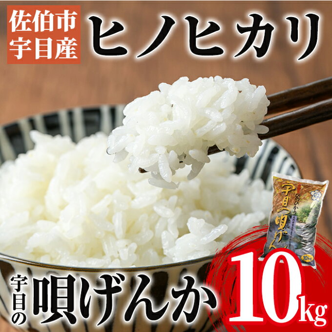 【ふるさと納税】佐伯市 宇目産 ヒノヒカリ (10kg・1袋) 国産 大分県産 米 こめ お米 ご飯 ひのひかり 食卓 大分県 佐伯市【AY62】【 (公財)さいき農林公社】