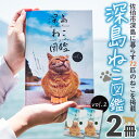 写真集・タレント人気ランク17位　口コミ数「0件」評価「0」「【ふるさと納税】深島ねこ図鑑vol.2 (2冊) 猫 ねこ 写真集 本 雑誌 書籍 深島 猫の島 グッズ 大分県 佐伯市 【HD67】【さいき本舗 城下堂】」