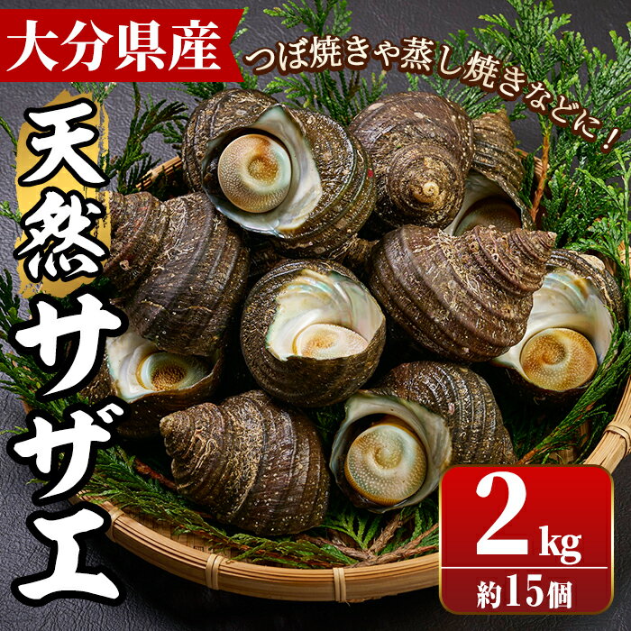 【ふるさと納税】 天然 サザエ (計約2kg・15個) 魚介 貝 さざえ 栄螺 酒蒸し 網焼き バター焼き バー...