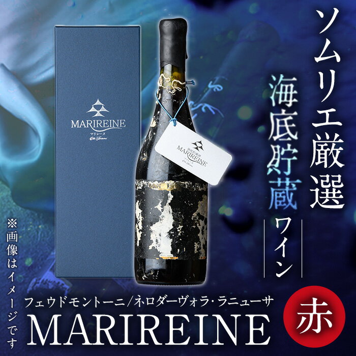 【ふるさと納税】海底貯蔵ワイン 赤 MARIREINE 2019 フェウドモントーニ (750ml・ギフト箱入り)イタリア ワイン 赤ワイン 酒 パーティー 海底酒 熟成 マリレーヌ 大分県 佐伯市【FP013】【フルタ酒店】