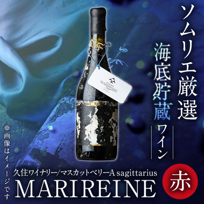 【ふるさと納税】＜先行予約受付中・2024年5月上旬より順次発送予定＞海底貯蔵ワイン 赤 MARIREINE マスカットベリーA sagittarius2022(720ml・1本)久住ワイナリー ワイン 赤ワイン 酒 パーティー マリレーヌ 海底酒 熟成 大分県 佐伯市【FP021】【フルタ酒店】