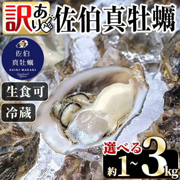 【ふるさと納税】＜容量が選べる＞訳あり 佐伯真牡蠣 鶴見産(約1kgまたは約3kg) 牡蠣 カキ 新鮮 生牡...