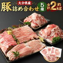 【ふるさと納税】小分けされてるから便利♪ 大分県産 豚詰め合わせ 5種 約2kg 豚肉 お肉 精肉 セット うす切り スライス ロース ばら もも うで こま切れ 切り落とし しゃぶしゃぶ 生姜焼き 丼 小分け グルメ お取り寄せ 冷凍 大分県産 臼杵市 九州産 国産 送料無料