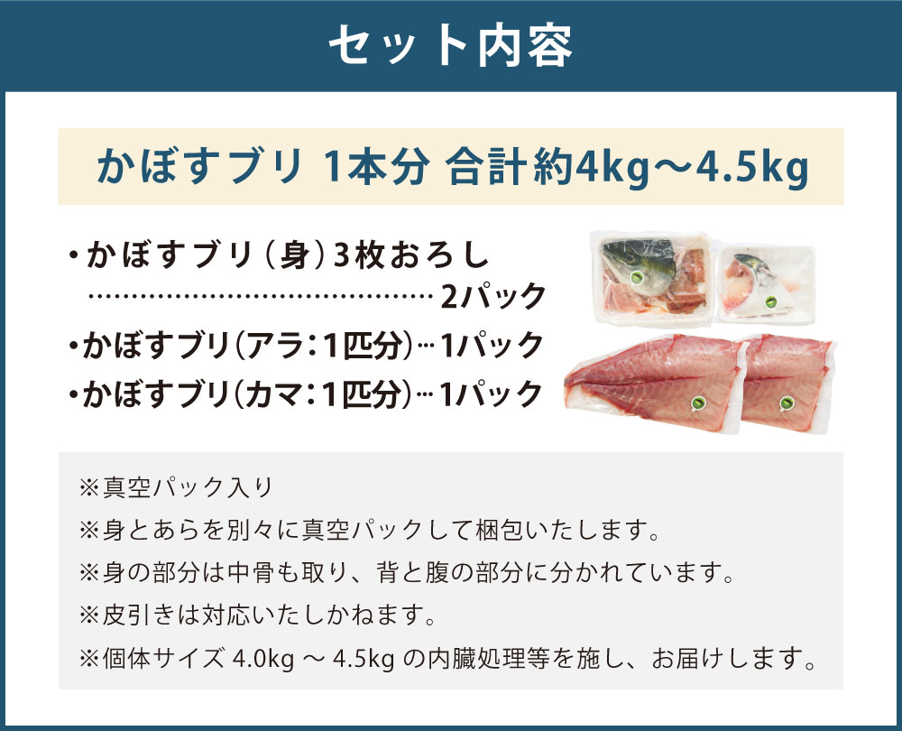 大分県臼杵市の画像3