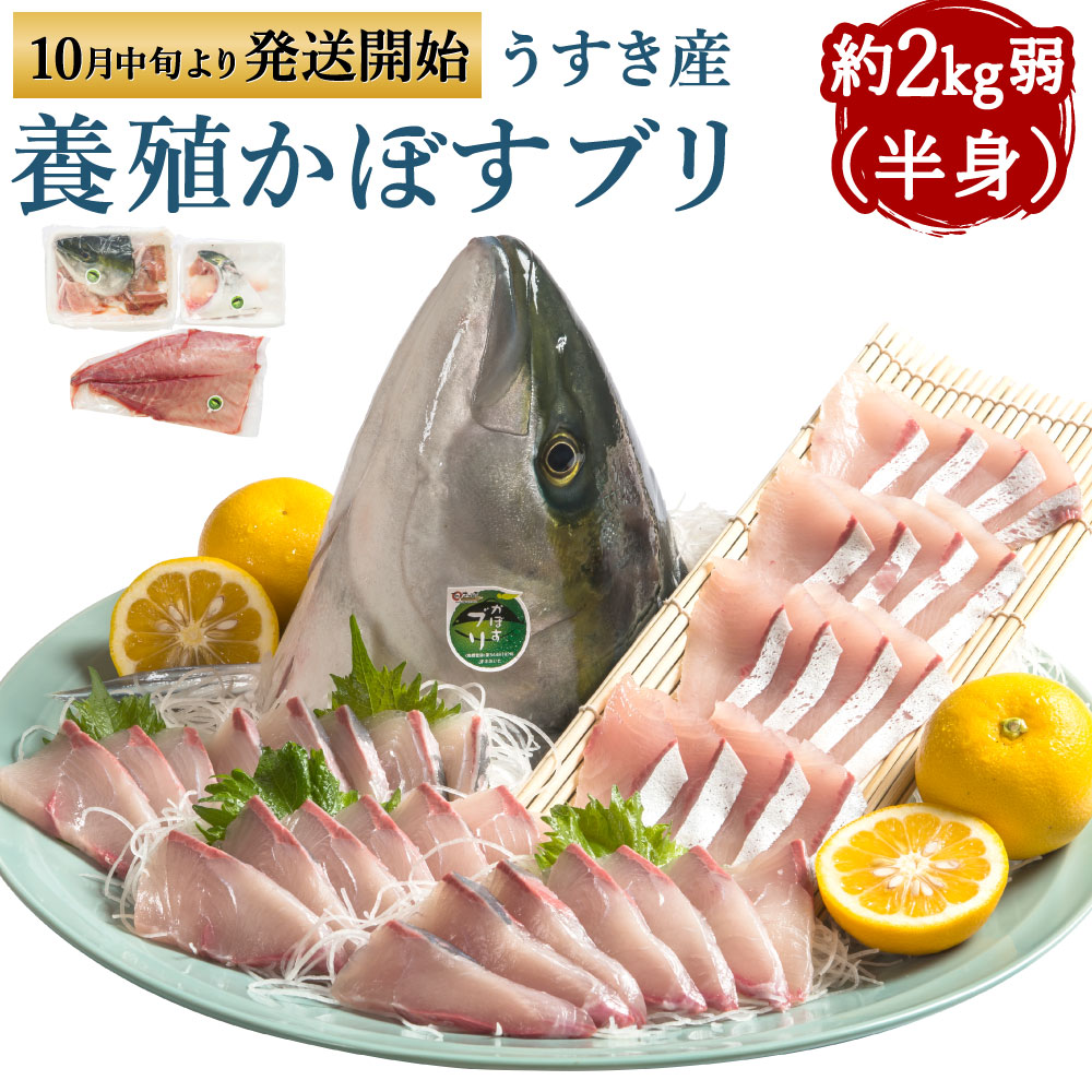 養殖 かぼすブリ 半身 約2kg弱(半身) アラ カマ かぼす カボス ブリ ぶり 鰤 魚介類 魚貝類 魚 冷蔵発送 真空パック 旬 臼杵産 九州産 国産 送料無料