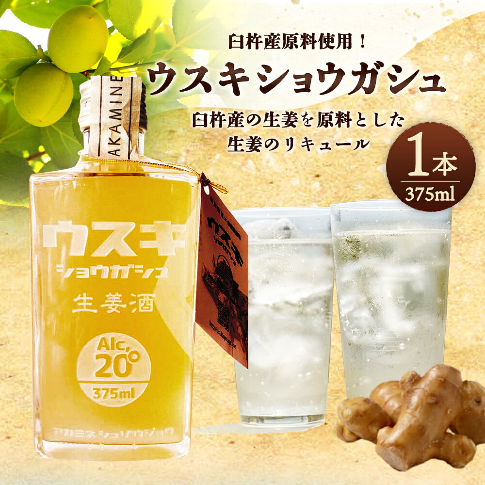【ふるさと納税】臼杵産原料使用！ 臼杵生姜酒 (ジンジャー・リキュール） 1本 20度 生姜酒 しょうが酒 本格焼酎 お酒 アルコール 無添加 栽培期間中 農薬不使用 ギフト 贈り物 臼杵市産原料使用 大分県 九州 国内製造 臼杵市 送料無料