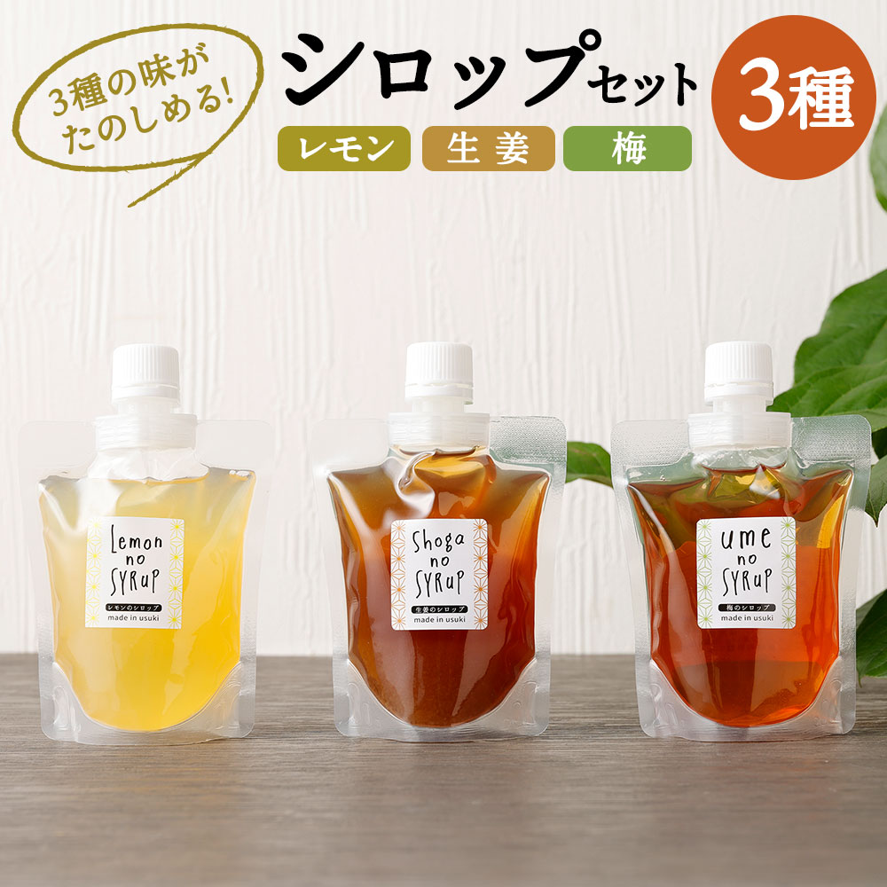 【ふるさと納税】3種の味がたのしめる シロップセット 生姜 レモン 梅 3種 200g 各1個 合計3個 シロップ 調味料 国産 送料無料