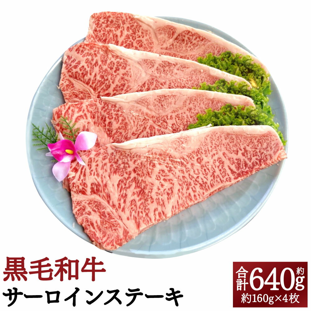 肉質4等級以上!おおいた和牛の黒毛和牛サーロインステーキ 計640g 約160g×4枚 おおいた和牛 おおいた豊後牛 豊後牛 黒毛和牛 和牛 サーロインステーキ サーロイン ステーキ 4等級以上 真空パック お肉 牛肉 国産 九州産 大分県産 送料無料