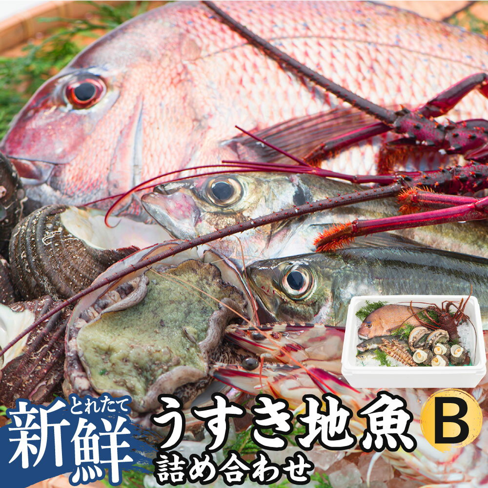 【ふるさと納税】豊後水道 うすき 地魚 詰め合わせ Bセット 1箱分 ランダム おまかせ 魚 旬 新鮮 魚介類 生魚 海鮮 下処理対応可 冷蔵 大分県 臼杵市 送料無料