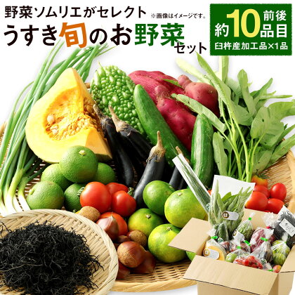 野菜ソムリエがセレクト!「うすき旬のお野菜セット」 約10品目前後 加工品1品 レシピ付き ほんまもん農産物 野菜 果物 お任せ 詰め合わせ 九州産 大分県 臼杵市産 送料無料