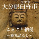 【ふるさと納税】大分県臼杵市　返礼品なし 100,000円（寄附のみの受付となります）