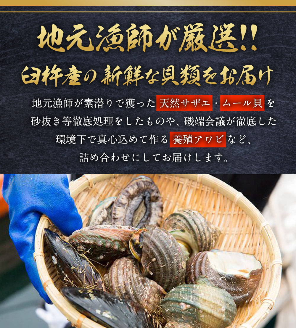 【ふるさと納税】臼杵産 貝類 詰め合わせ 天然サザエ 養殖アワビ ムール貝 産地直送 魚介 魚介類 詰め合わせ 食べ比べ 新鮮 特産品 国産 刺身 つぼ焼き バター焼き お取り寄せ 送料無料 3