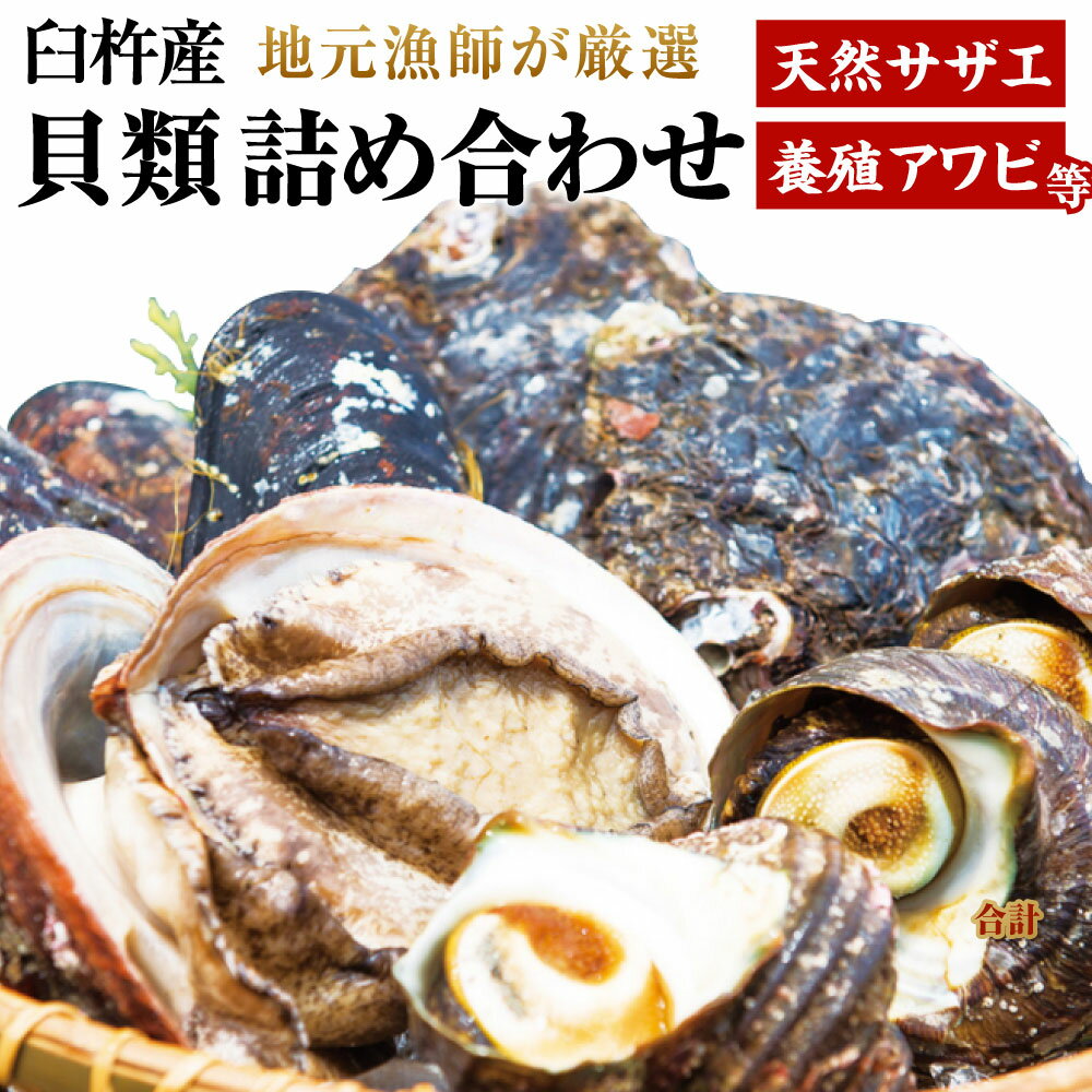 臼杵産 貝類 詰め合わせ 天然サザエ 養殖アワビ ムール貝 産地直送 魚介 魚介類 詰め合わせ 食べ比べ 新鮮 特産品 国産 刺身 つぼ焼き バター焼き お取り寄せ 送料無料