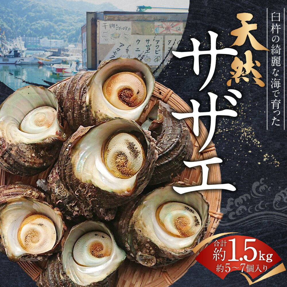 【ふるさと納税】臼杵の綺麗な海で育った 天然サザエ 合計約1.5kg 約5～7個 産地直送 魚介 魚介類 新鮮 特産品 国産 刺身 つぼ焼き お取り寄せ 送料無料