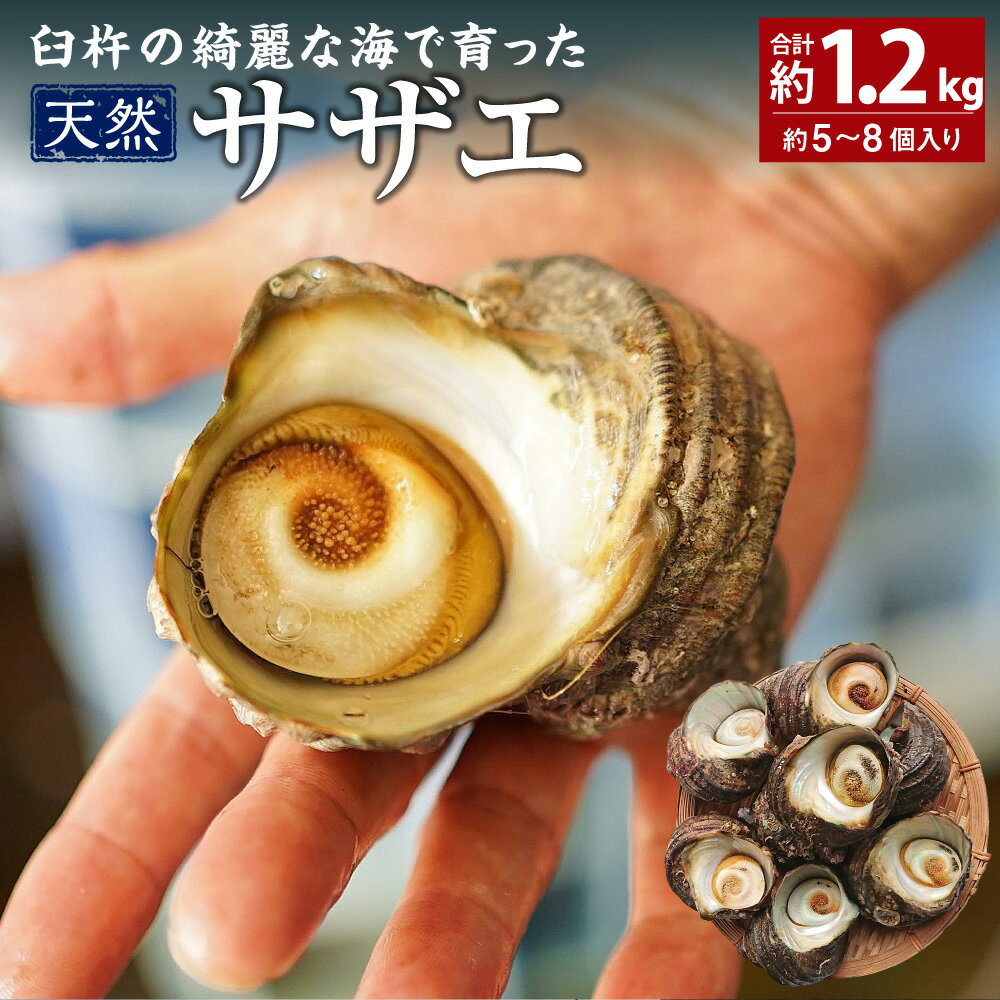 【ふるさと納税】臼杵の綺麗な海で育った 天然サザエ 合計約1.2kg 約5~8個 産地直送 魚介 魚介類 新鮮 特産品 国産 刺身 つぼ焼き お取り寄せ 送料無料