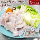 25位! 口コミ数「3件」評価「5」朝〆新鮮！とらふぐ贅沢ぶつ切り 焼きヒレセット 4人前 とらふぐ 約600g ぶつ切り 養殖とらふぐ とらふぐ刺し ふぐ ふぐちり セット ･･･ 