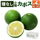 【ふるさと納税】種無し(小種)かぼす 約4kg 45~50個 種無し カボス 果物 フルーツ 料理 柑橘 九州産 大分県産 国産 送料無料