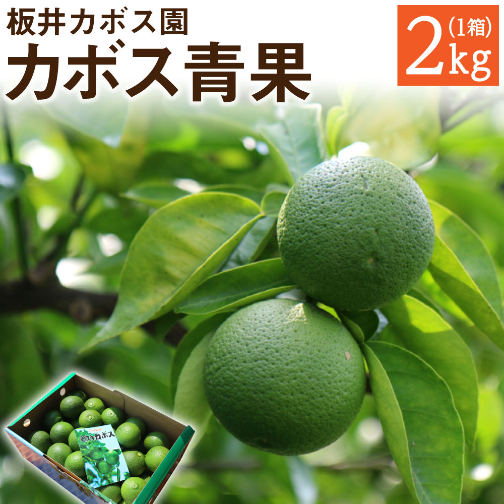 【ふるさと納税】【先行予約】板井カボス園のうすき産 カボス 2kg かぼす 青果 黄カボス 果物 くだもの フルーツ 果実 国産 九州産 大分県産 送料無料