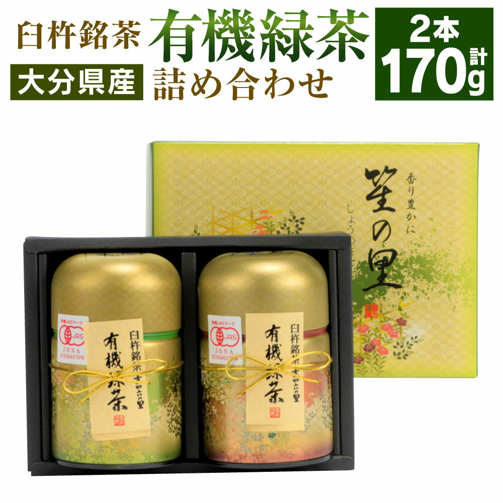 有機JAS認証大分県第1号!高橋製茶 有機緑茶 詰め合わせ[銀] 合計170g 85g×2個 お茶 茶 緑茶 茶葉 有機 飲み物 飲料 詰め合せ 詰合せ セット 大分県 送料無料