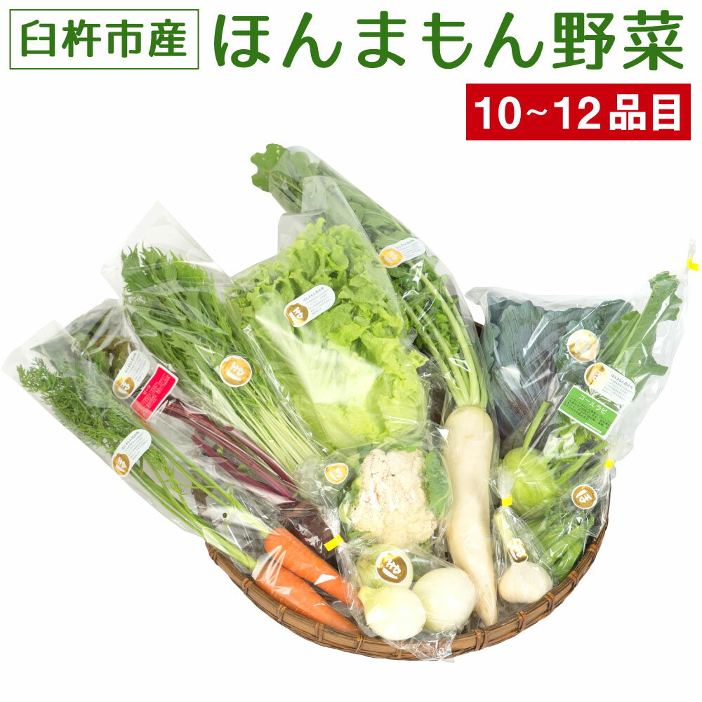 楽天大分県臼杵市【ふるさと納税】ほんまもん野菜 約10〜12品目 10〜12種類 野菜 セット 詰め合わせ 旬 栽培期間中化学合成農薬・化学肥料不使用 臼杵市産 九州産 国産 送料無料