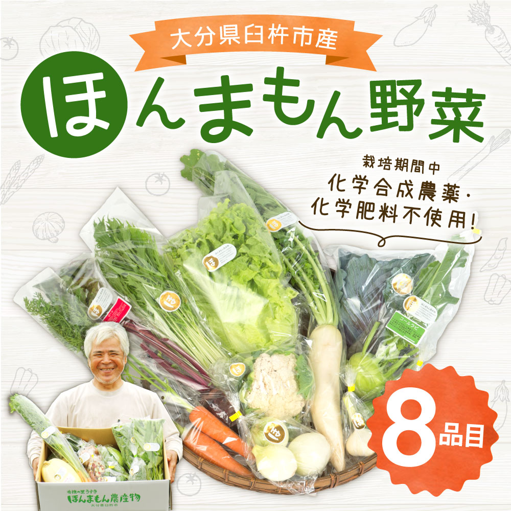 【ふるさと納税】ほんまもん野菜 8品目 8種類 野菜 セット 詰め合わせ 旬 栽培期間中化学合成農薬・化学肥料不使用 臼杵市産 九州産 国産 送料無料