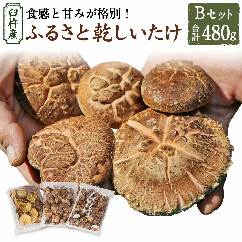 【ふるさと納税】臼杵産 ふるさと 乾しいたけ Bセット（計480g）3袋 小粒どんこ こうこ どんこ 椎茸 ...