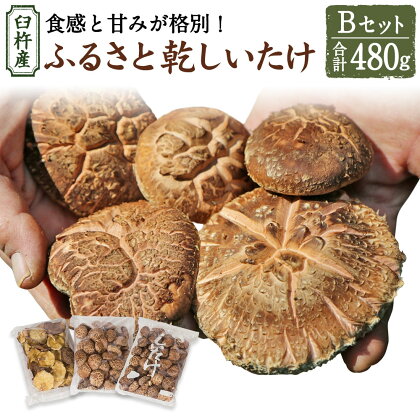 臼杵産 ふるさと 乾しいたけ Bセット（計480g）3袋 小粒どんこ こうこ どんこ 椎茸 しいたけ シイタケ きのこ 干ししいたけ 原木栽培 産地直送 国産 九州産 大分県 臼杵市 送料無料