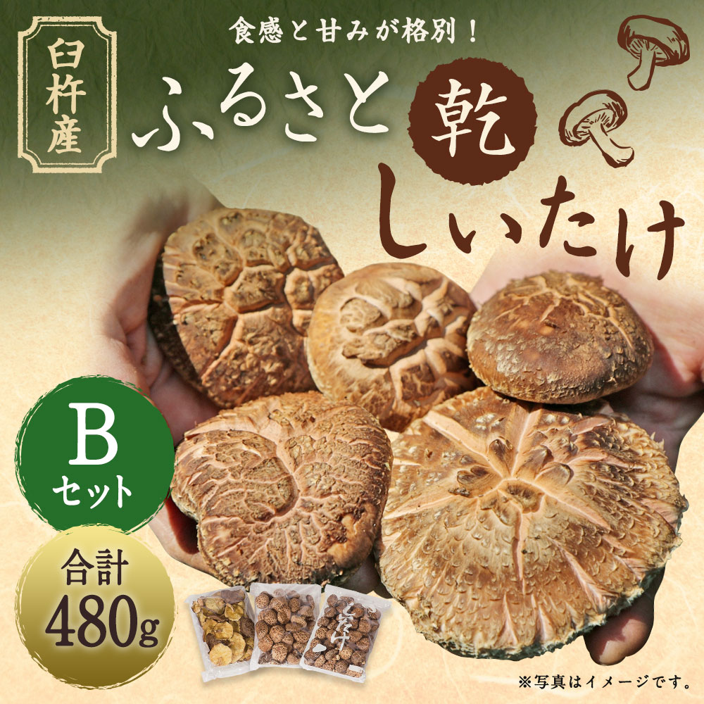 【ふるさと納税】臼杵産 ふるさと 乾しいたけ Bセット（計480g）3袋 小粒どんこ こうこ どんこ 椎茸 しいたけ シイタケ きのこ 干ししいたけ 原木栽培 産地直送 国産 九州産 大分県 臼杵市 送料無料