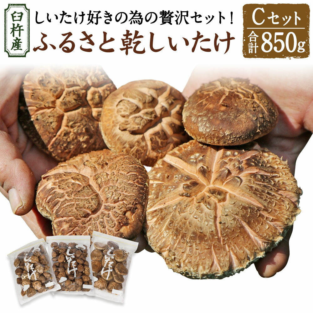 【ふるさと納税】臼杵産 ふるさと 乾しいたけ Cセット（計850g）3袋 小粒どんこ こうこ こうしん 椎茸 しいたけ シイタケ きのこ 干ししいたけ 原木栽培 産地直送 国産 九州産 大分県 臼杵市 送料無料