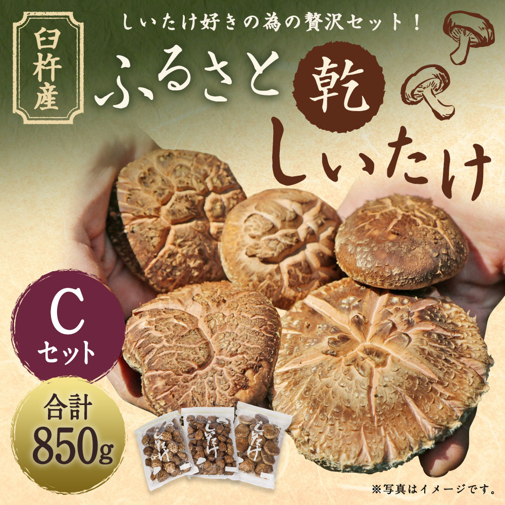 【ふるさと納税】臼杵産 ふるさと 乾しいたけ Cセット（計850g）3袋 小粒どんこ こうこ こうしん 椎茸 しいたけ シイタケ きのこ 干ししいたけ 原木栽培 産地直送 国産 九州産 大分県 臼杵市 送料無料