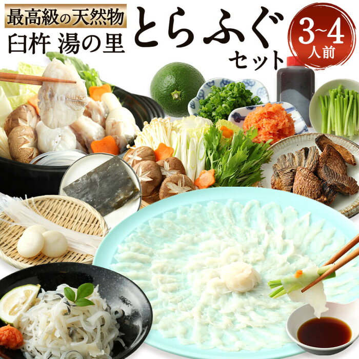 【ふるさと納税】臼杵湯の里 天然とらふぐセット（3〜4人前） ヒレ酒 ふぐちり フグちり ふぐちりセット セット ふぐ刺し 刺身 鍋 臼杵産お野菜 薬味付き 焼きヒレ 自家製ポン酢 かぼす グルメ お取り寄せ 国産 送料無料