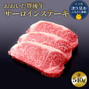 【ふるさと納税】おおいた豊後牛 サーロインステーキ 180g×3枚(合計540g) 和牛 豊後牛 国産牛 赤身肉 焼き肉 焼肉 ステーキ肉 大分県産 九州産 津...