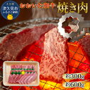 【ふるさと納税】おおいた和牛 焼肉 300g / 600g 和牛 豊後牛 国産牛 赤身肉 焼き肉 大分県産 九州産 津久見市 国産 送料無料