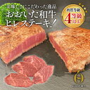 【ふるさと納税】おおいた和牛 ヒレステーキ 400g / 450g 和牛 豊後牛 国産牛 赤身肉 焼き肉 焼肉 ステーキ肉 大分県産 九州産 津久見市 国産 送料無料 2