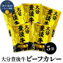 14位! 口コミ数「0件」評価「0」大分豊後牛ビーフカレー 5袋セット レトルト カレー ビーフ レトルト食品 和牛カレー お惣菜 大分県産 九州産 津久見市 国産 送料無料／･･･ 