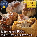【ふるさと納税】おおいた和牛100% 合計約2.8kg ハンバーグ&メンチカツセット 牛肉 豊後牛 ハンバーグ 揚げ物 おかず お弁当 小分け 時短料理 レンジ 惣菜 冷凍 大分県産 九州産 津久見市 国産 送料無料