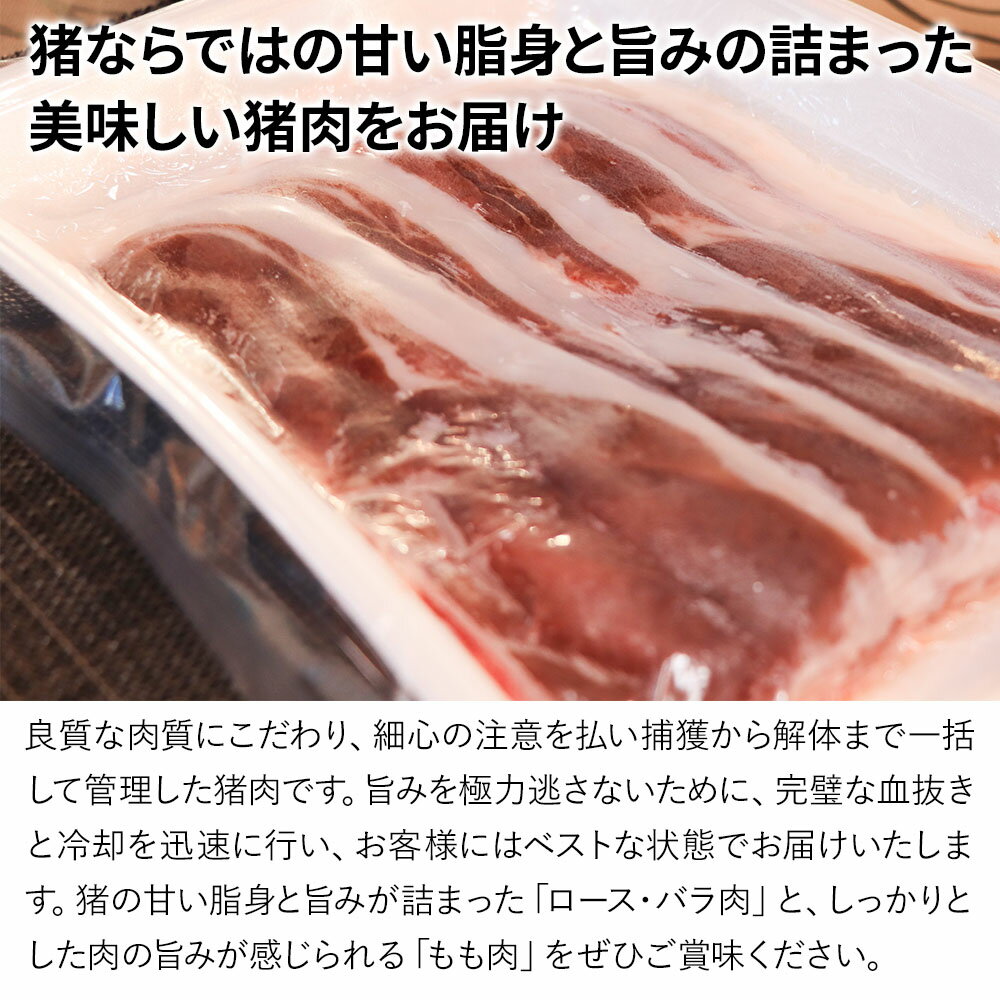 【ふるさと納税】 ジビエの里 山賊猪鍋 ぼたん鍋セット 4人前(極上猪肉600g、山賊味噌) 鍋 ジビエ鍋 猪肉 いのしし 猪鍋 大分県産 九州産 津久見市 国産 送料無料【受付は2024年3月末まで】