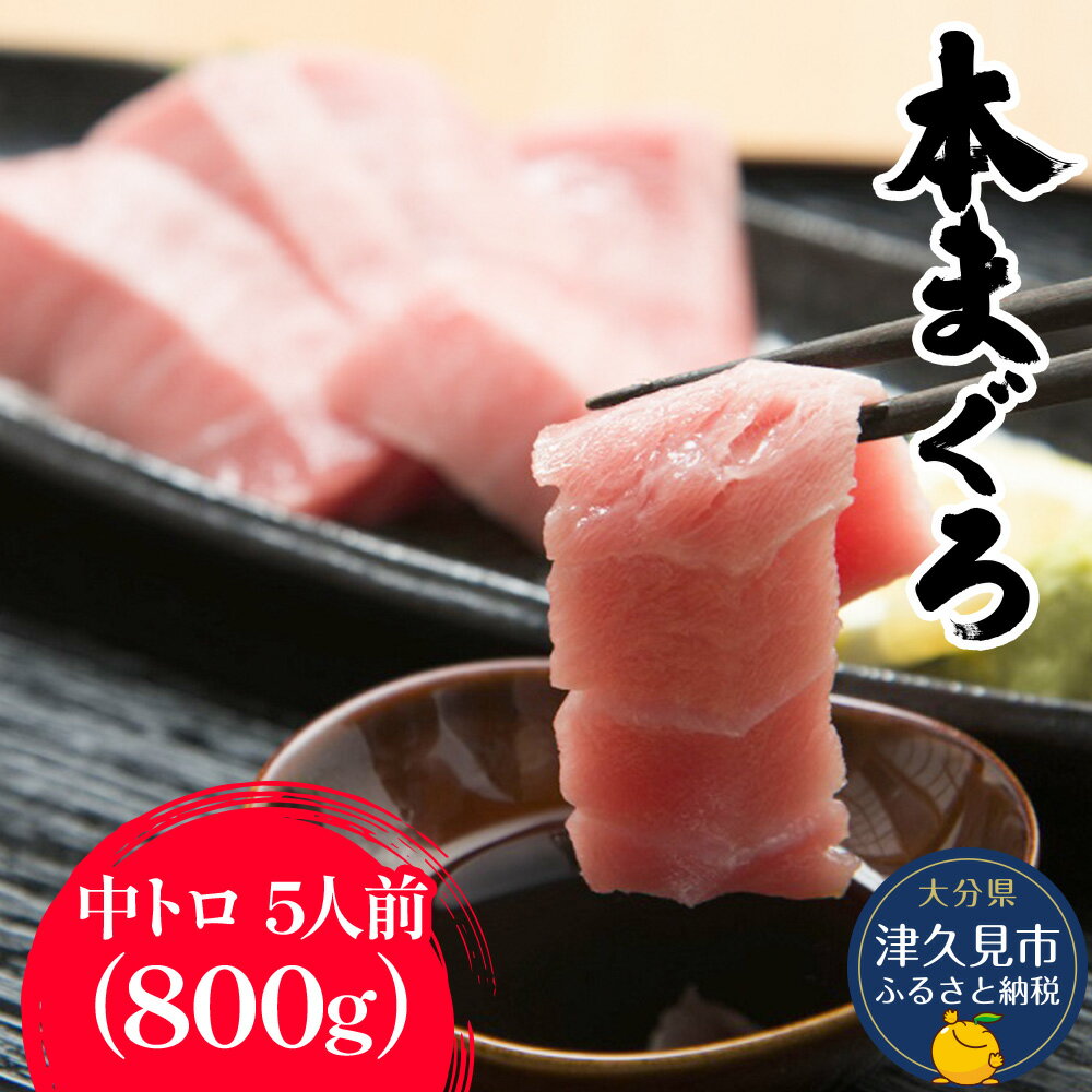 29位! 口コミ数「0件」評価「0」本まぐろ お刺身用 中トロ5人前(800g) 鮪 海鮮丼 刺し身 刺身 盛り合わせ 冷凍 魚の刺身 大分県産 九州産 津久見市 国産 送料無･･･ 