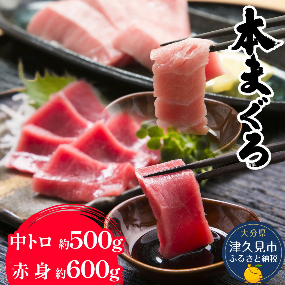 7位! 口コミ数「0件」評価「0」本マグロ まぐろ 中トロ 約500g・赤身 約600gセット 鮪 海鮮丼 刺し身 刺身 盛り合わせ 冷凍 魚の刺身 大分県産 九州産 津久見･･･ 