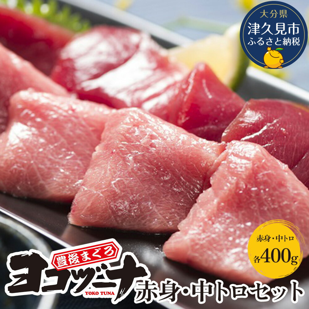 【ふるさと納税】豊後まぐろ ヨコヅーナ 赤身400g 中トロ400g 鮪 マグロ 海鮮丼 刺し身 盛り合わせ 冷...