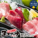 【ふるさと納税】豊後まぐろ ヨコヅーナ 贅沢セット赤身250g 中トロ500g 大トロ250g入りの豪華セット 大分県産 九州産 津久見市 国産 送料無料