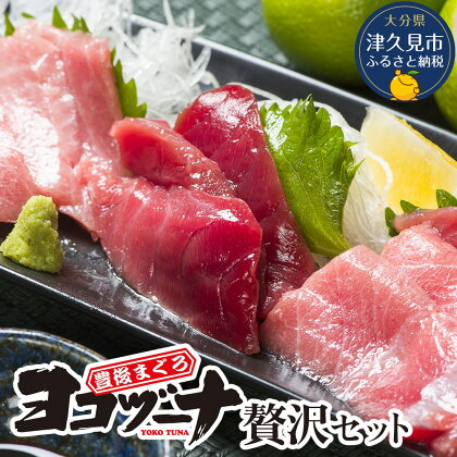 豊後まぐろ ヨコヅーナ 贅沢セット赤身250g 中トロ500g 大トロ250g入りの豪華セット 大分県産 九州産 津久見市 国産 送料無料