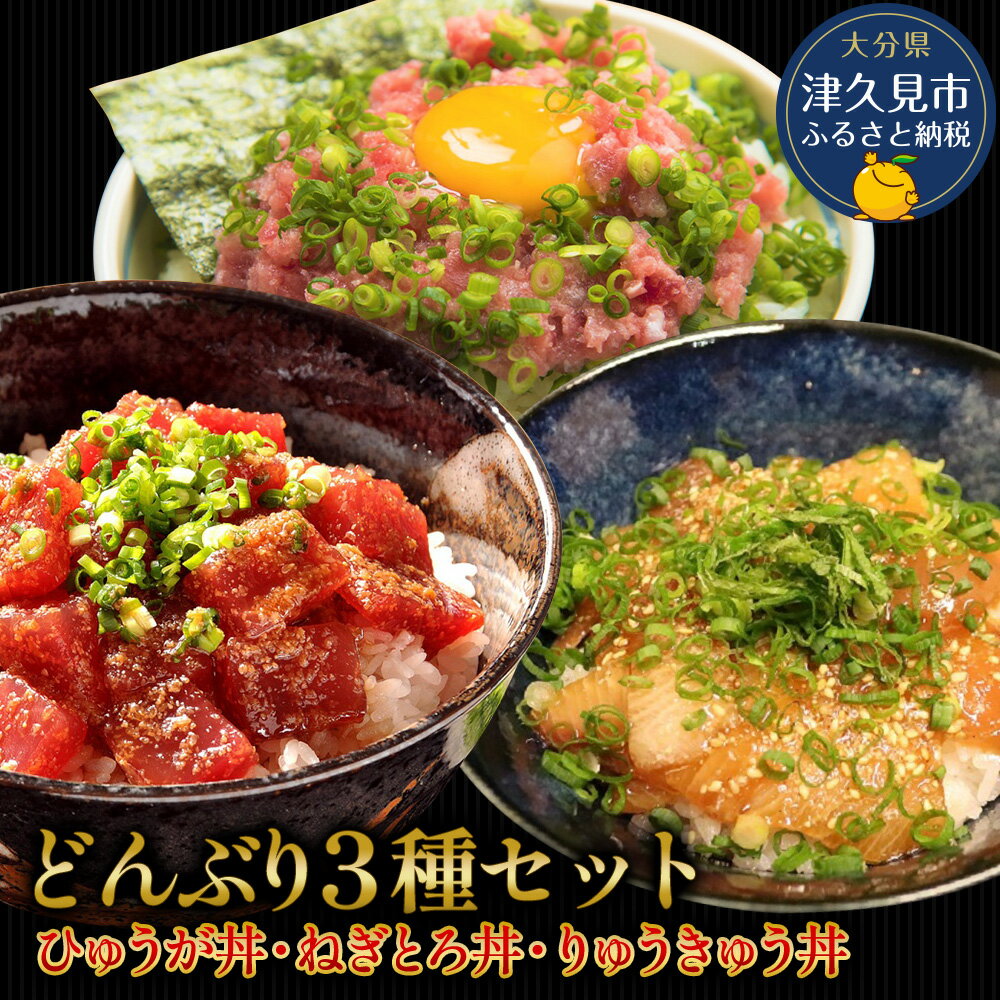 【ふるさと納税】どんぶり3種セット ぶりのりゅうきゅう丼・マグロ（ひゅうが丼）・ねぎとろセット ね...