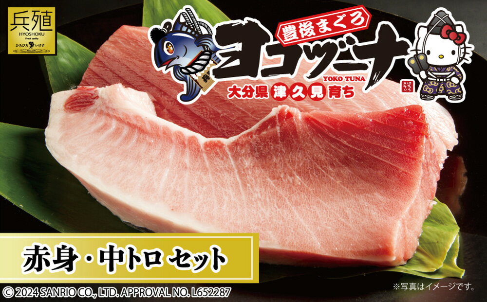 【ふるさと納税】豊後まぐろ ヨコヅーナ 赤身400g 中トロ400g | 鮪 マグロ 大分県 九州 津久見市 国産
