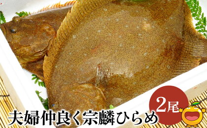 夫婦仲良く宗麟ひらめ 2尾 ヒラメ 夫婦仲良く 平目 鮃 刺身 生魚 新鮮 大分県産 九州産 津久見市 国産 送料無料