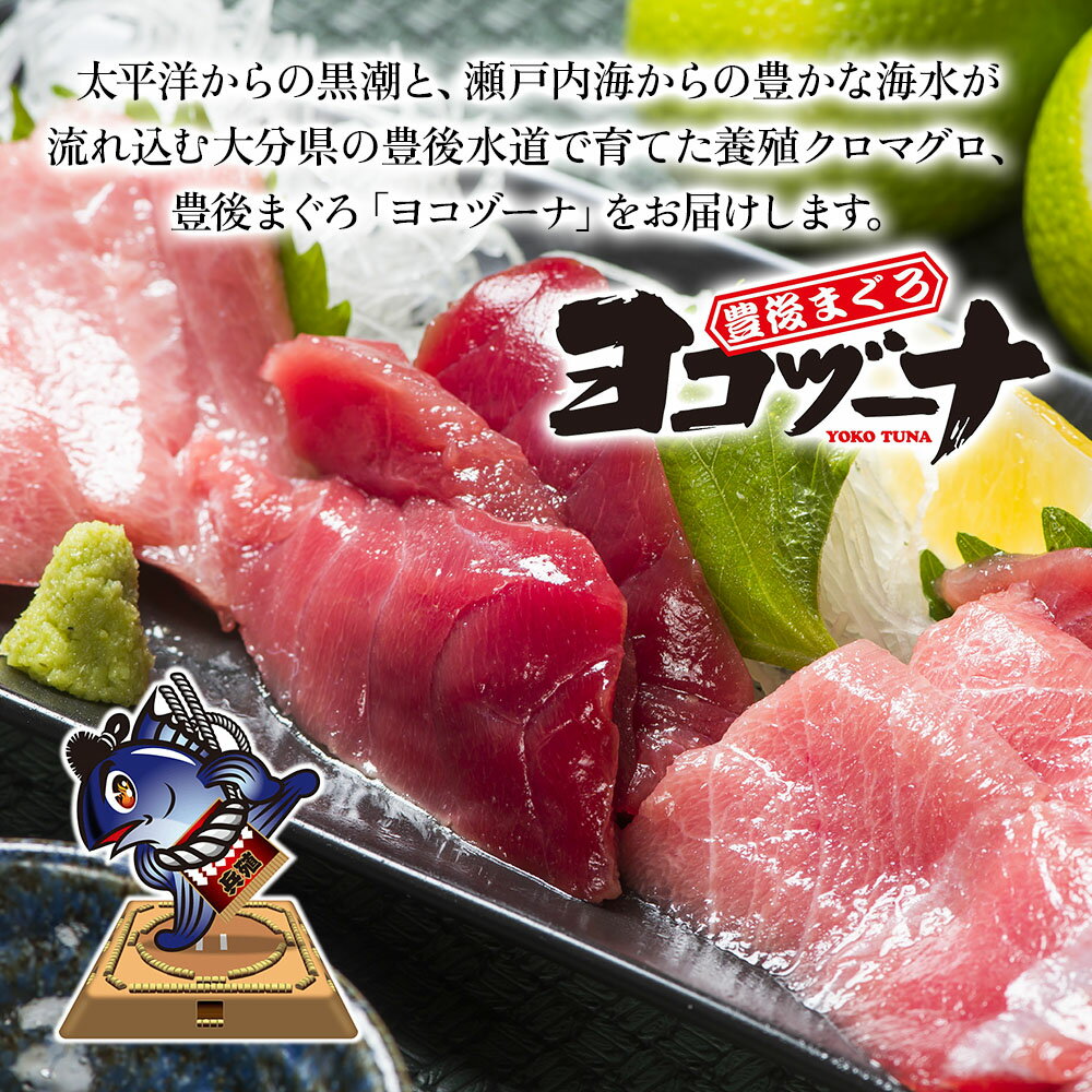 【ふるさと納税】【定期便 5回】豊後まぐろヨコヅーナ 赤身250g 中トロ500g 大トロ250g 大分県津久見市産 マグロ まぐろ 鮪 丸ごと 赤身 大トロ 中トロ トロ 刺身 大分県産 九州産 津久見市 国産 送料無料